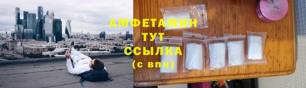 крисы Баксан