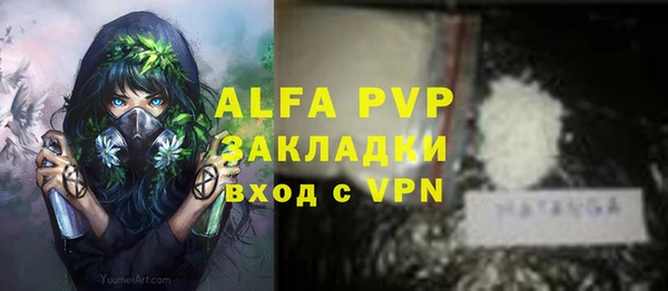 крисы Баксан