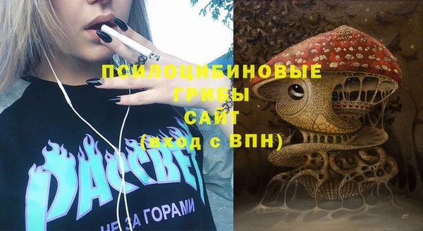 крисы Балахна