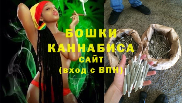 mdpv Белокуриха