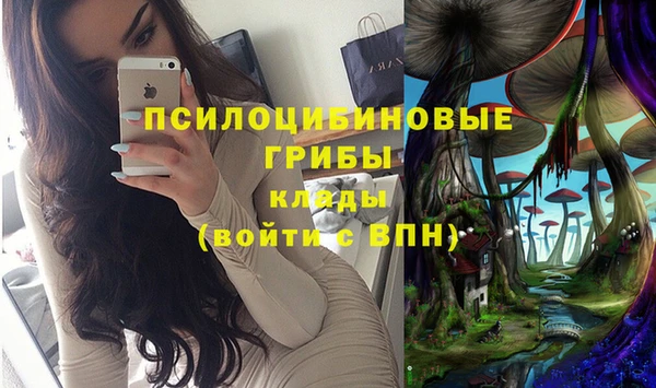 крисы Балахна