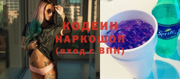 крисы Баксан
